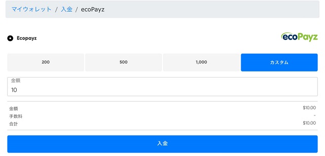ペイズで入金