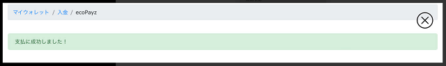 ペイズで入金